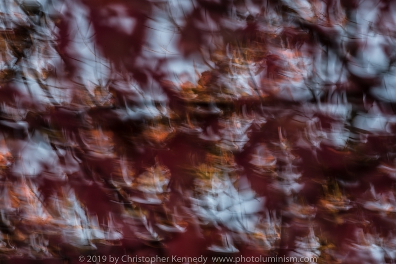 Deliciously velvet deep red abstract creation of splodges mixed with soft white spaces