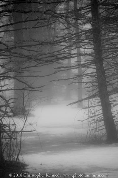Through the Mist-DSC_1184160203