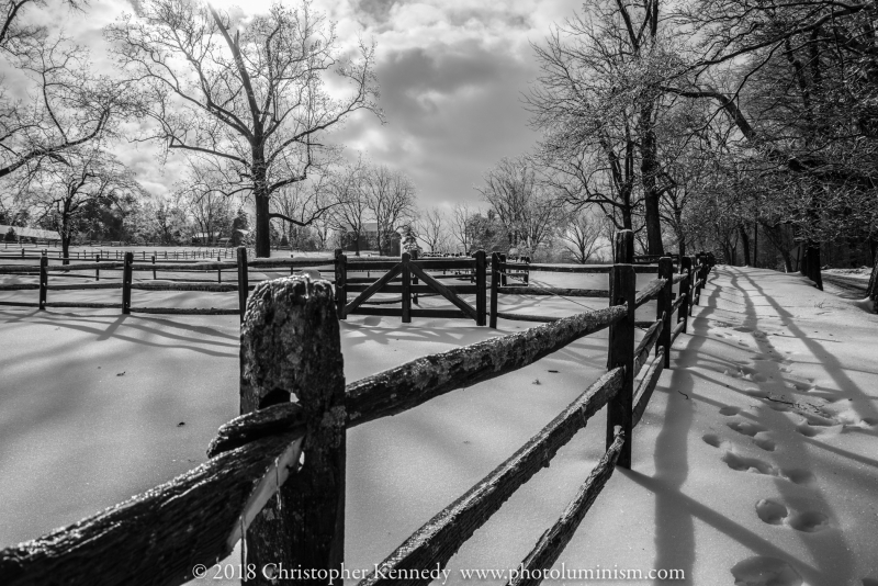 Rural Shadows-DSC_4046131215