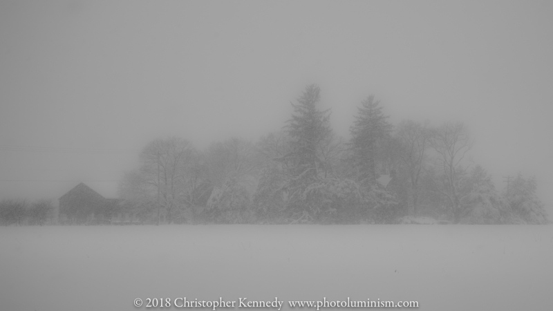 Foggy Farm-DSC_4895140203