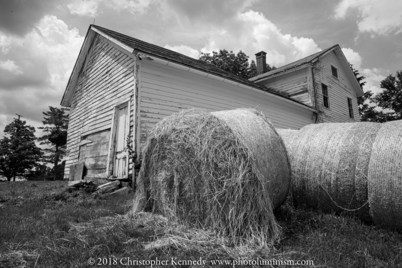 Straw Strewn-DSC_7936140629