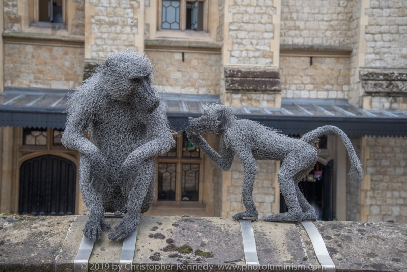 wire monkeys, sculpture, Tower of London