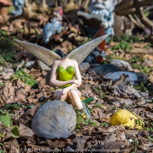 Headless Fairy-DSC_1292160228