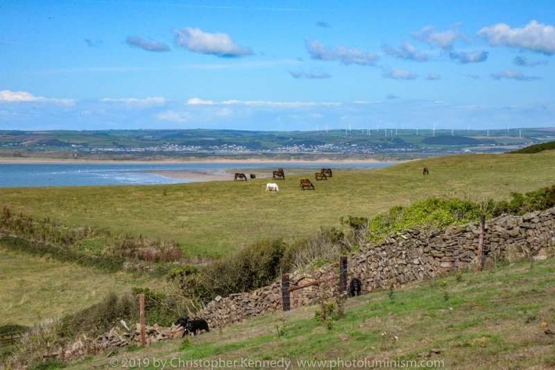 View up to Appledore from Abbotsham