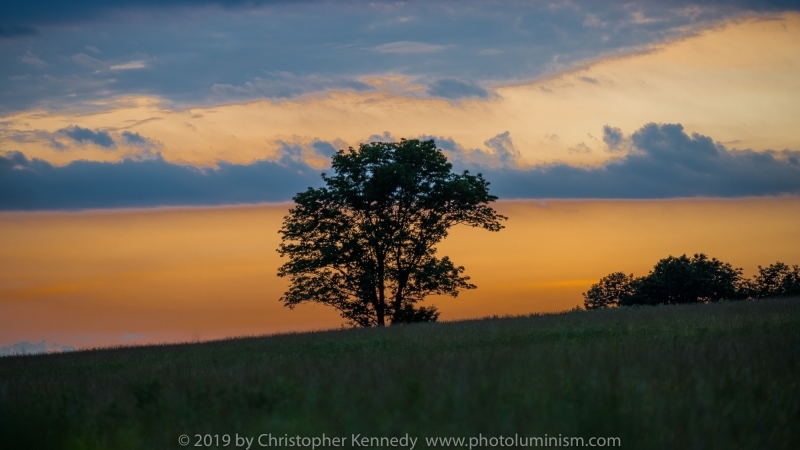 Sunset over countryside and big tree