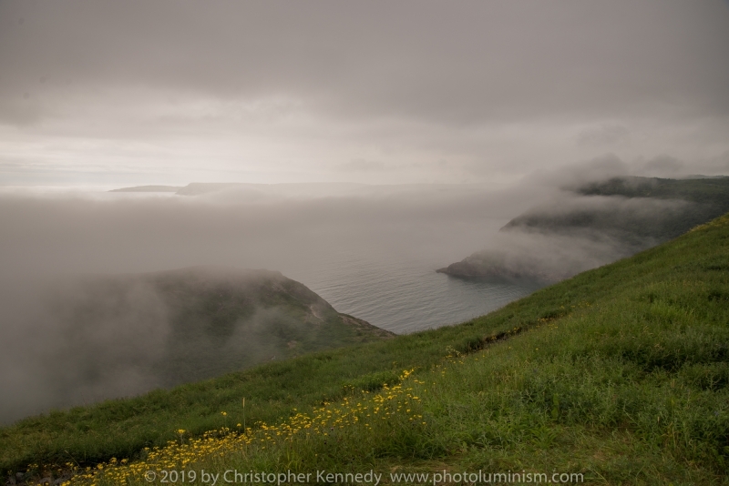 Newfoundland