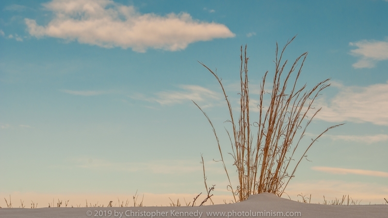 Tuft of Grass