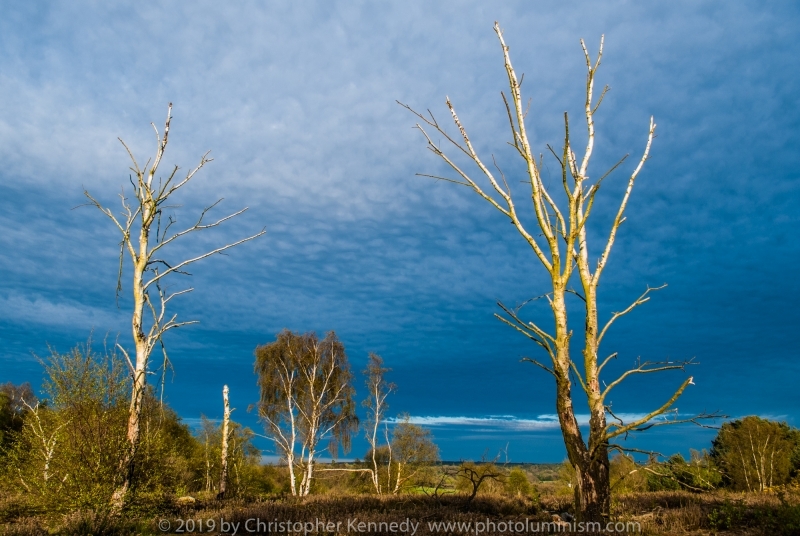 Broxhead Common Skies