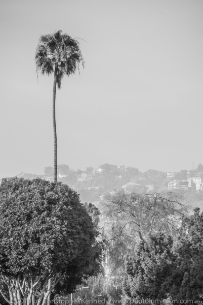 View Over Beverly Hills to the Hills