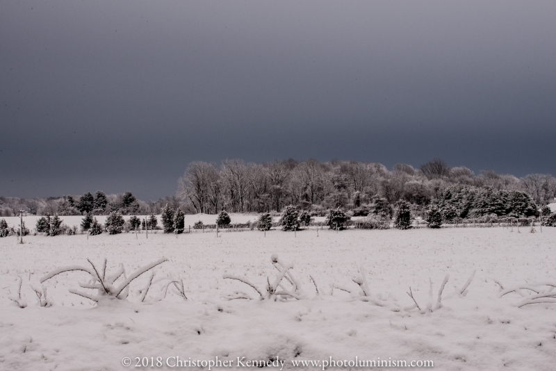 Dark Skies Over Snow