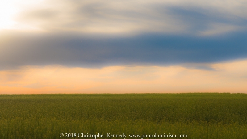 Painterly Field View