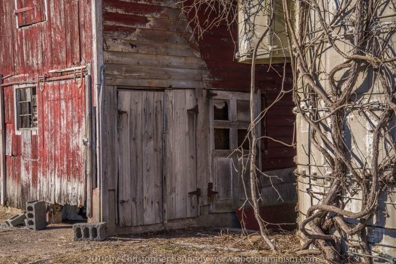 Barn Doors and Vines DSC_4148