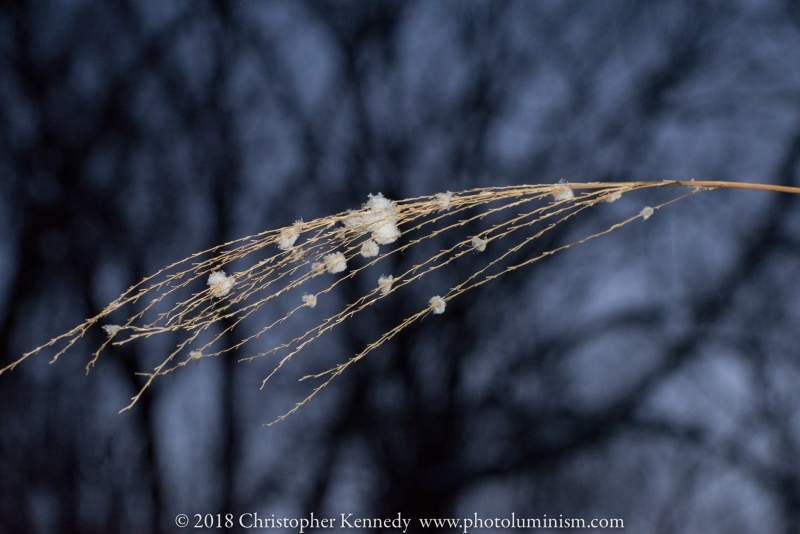 snow-_DSC4493170310