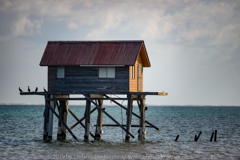 Stranded Cabin 1 Tres Cocos Belize DSC_4293