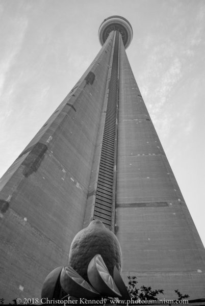 Seattle Space Needle Lemon Tower-DSC_0025080627